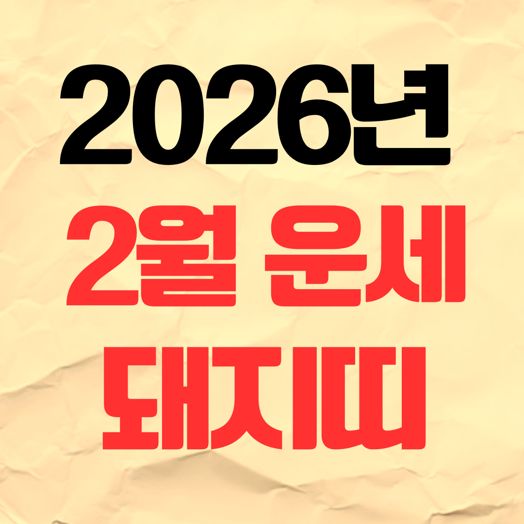 2026년 2월 돼지띠 운세 재물운 연애운 건강운 직장운
