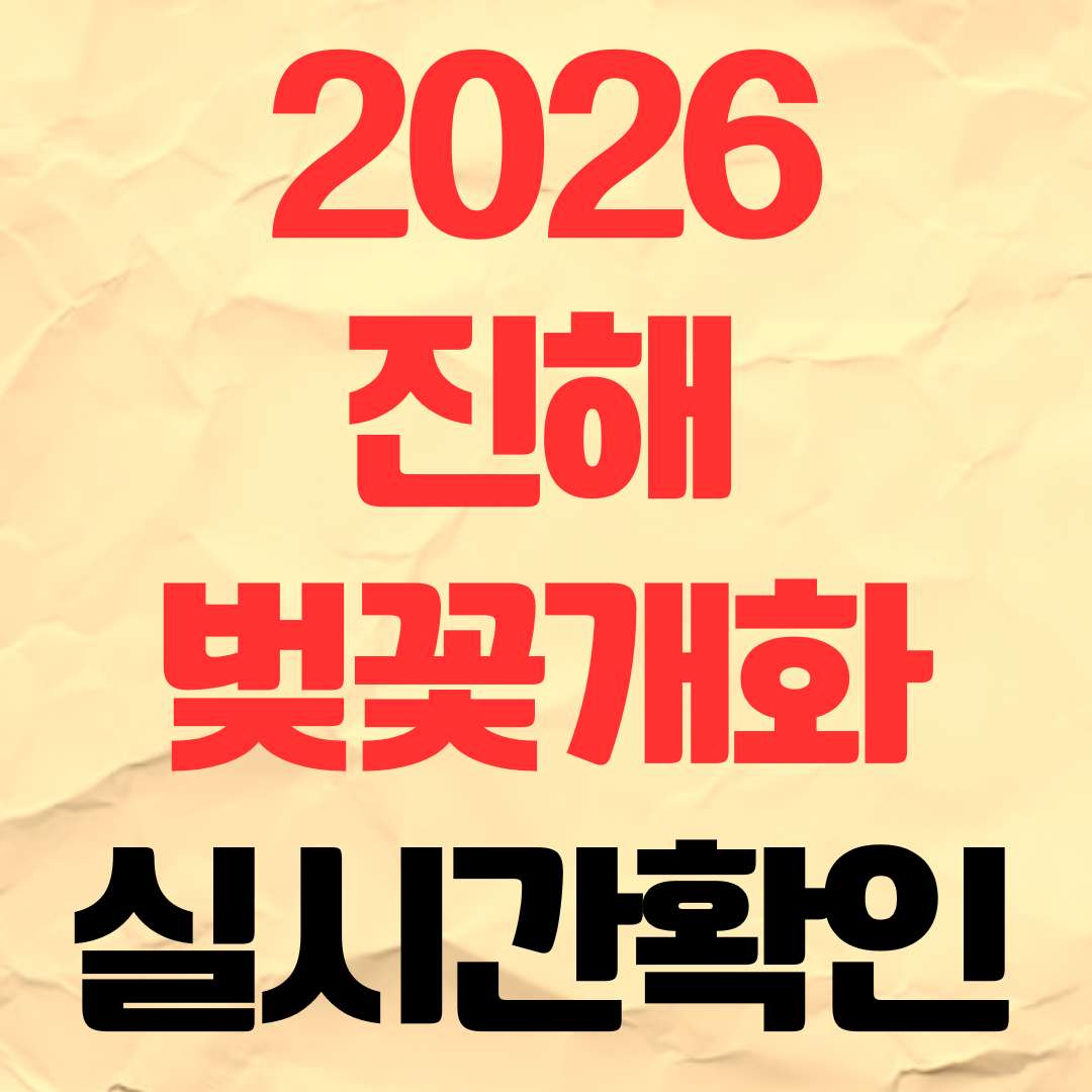 2026 진해 벚꽃개화시기 실시간 상태 상황 확인하기
