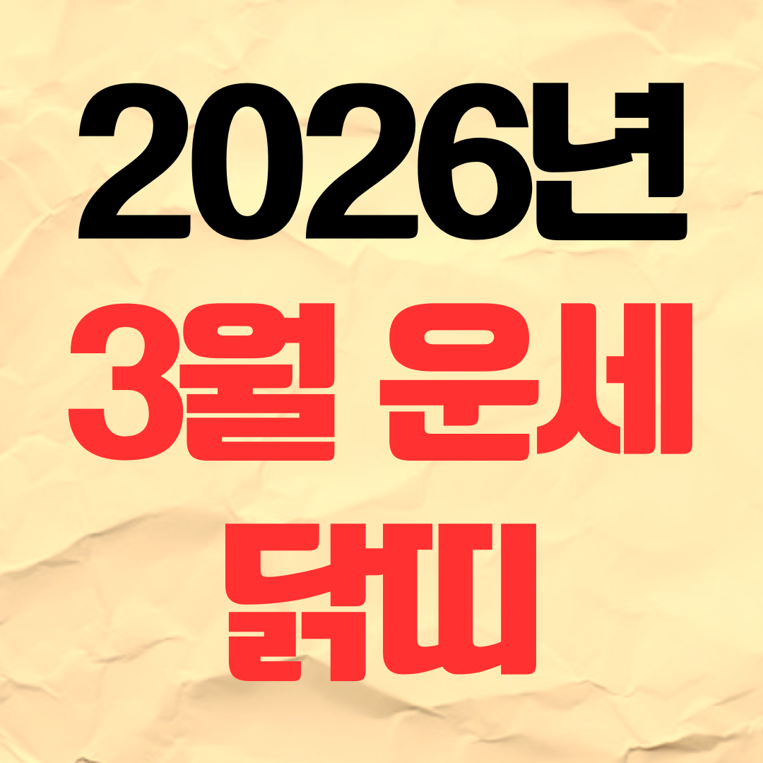 2026년 3월 닭띠 운세 재물운 연애운 건강운 직장운