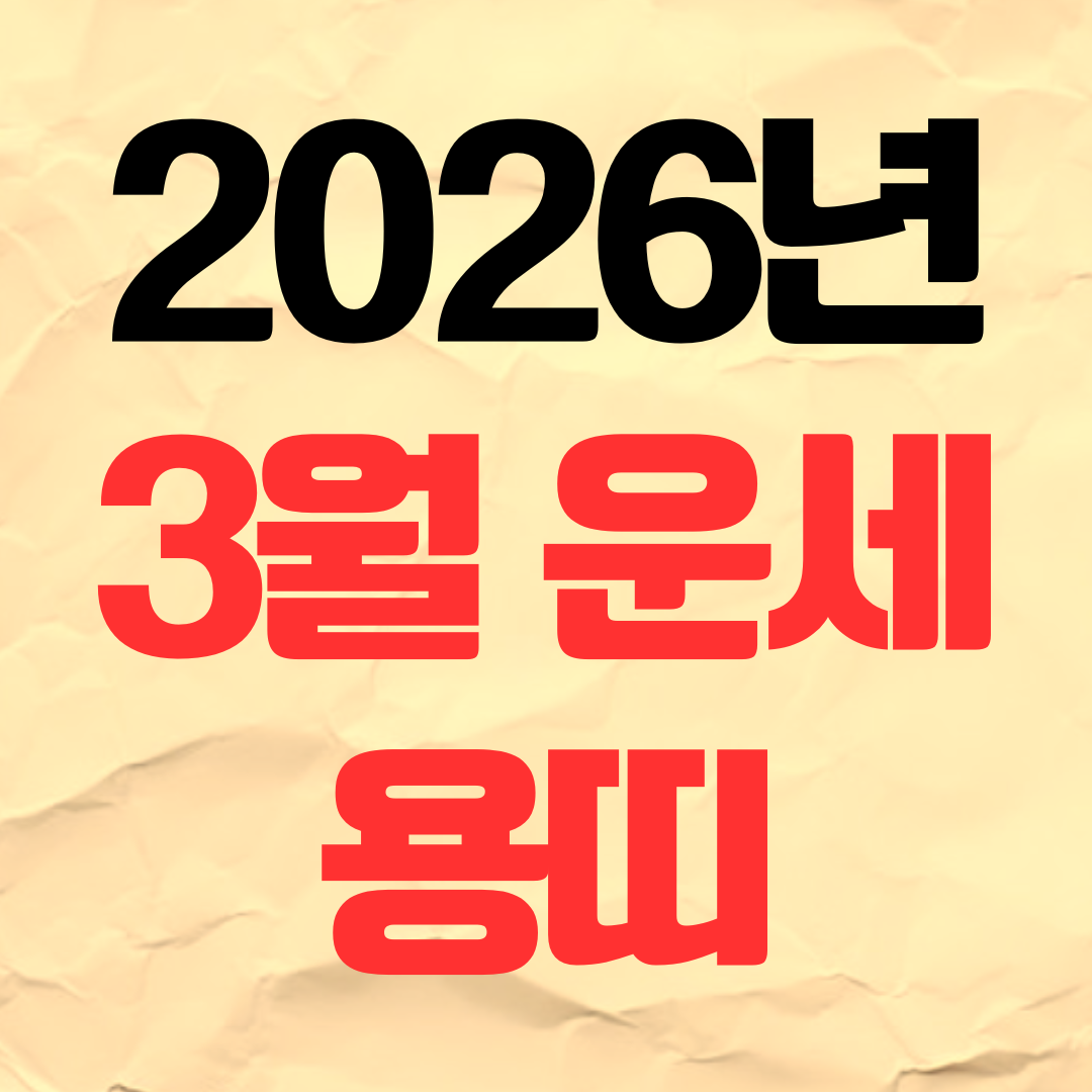 2026년 3월 용띠운세 재물운 연애운 건강운 직장운