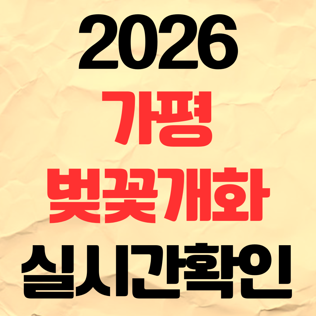 2026년 가평 벚꽃 개화시기 실시간 확인 명소 추천