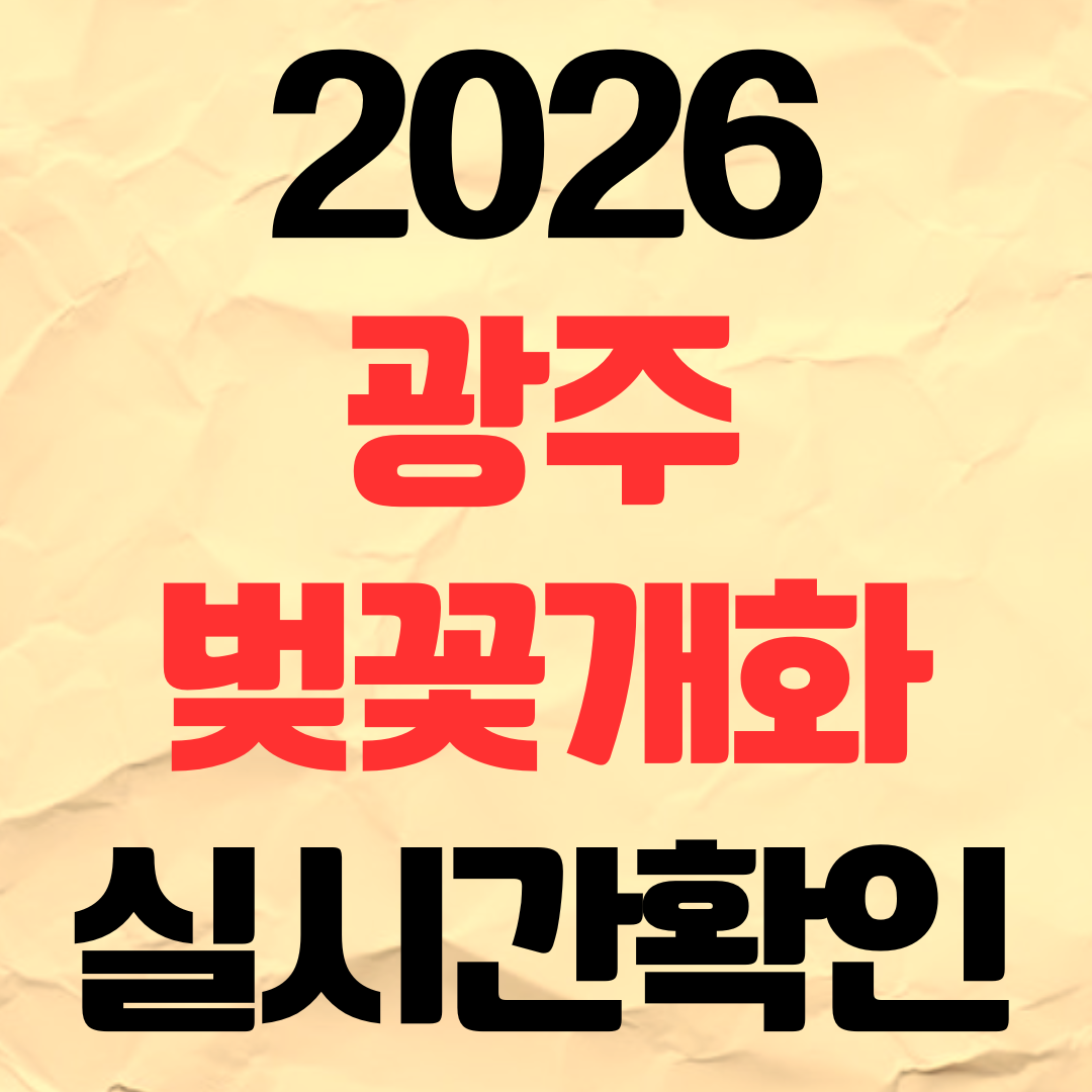 2026년 광주 벚꽃 개화시기 실시간 확인 명소 추천