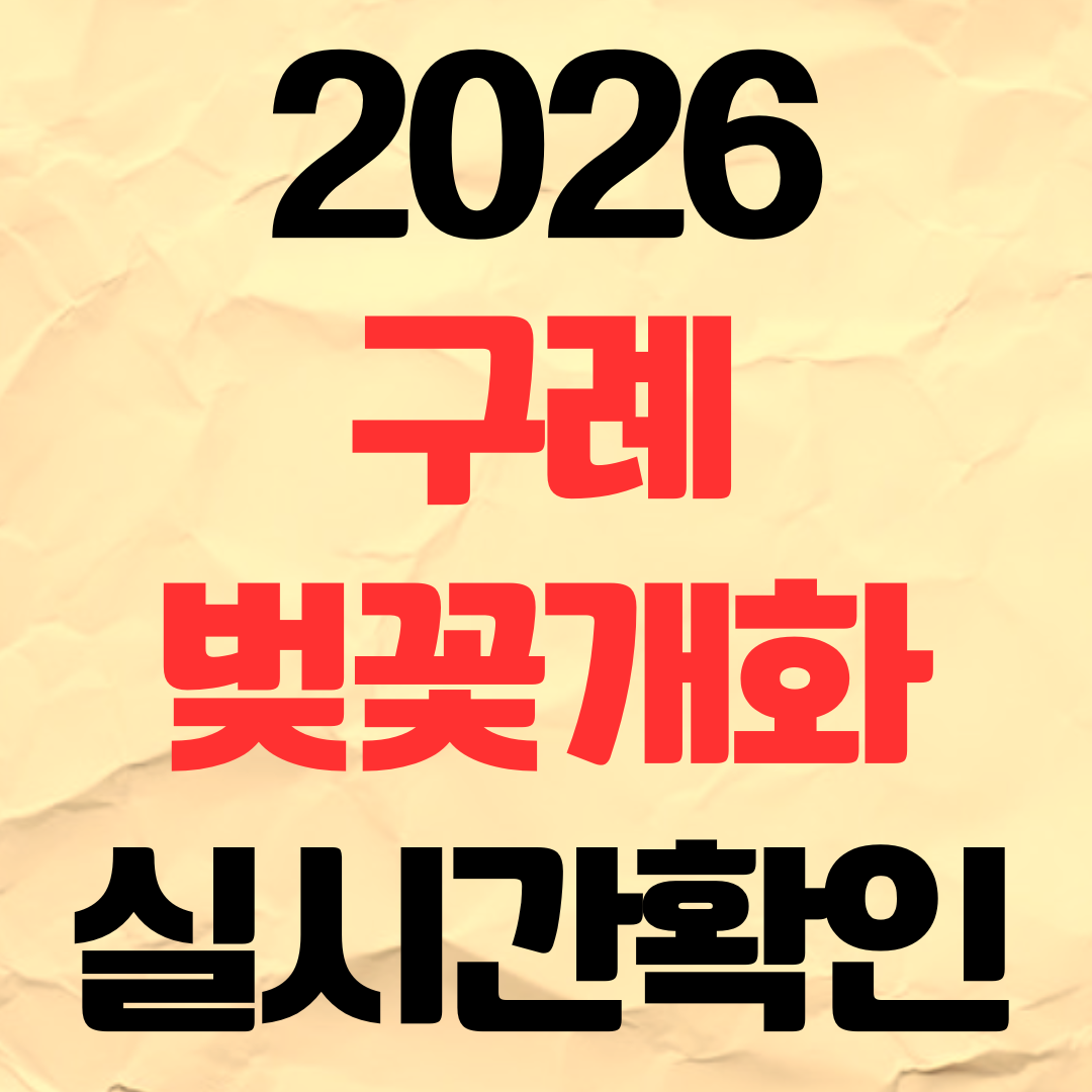 2026년 구례 벚꽃 개화시기 실시간 확인 명소 추천