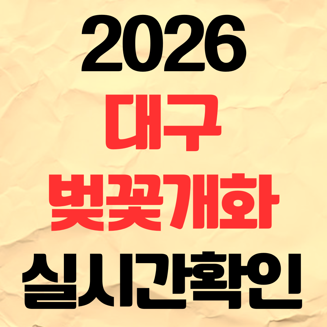 2026년 대구 벚꽃 개화시기 명소 실시간 확인 이월드 두류공원