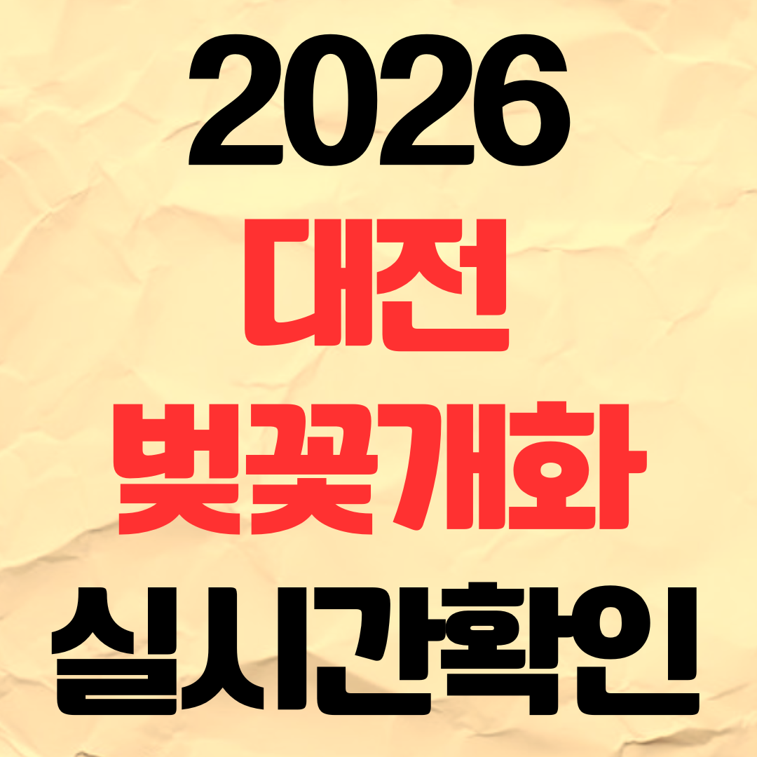 2026년 대전 벚꽃 개화시기 실시간 확인 명소 추천