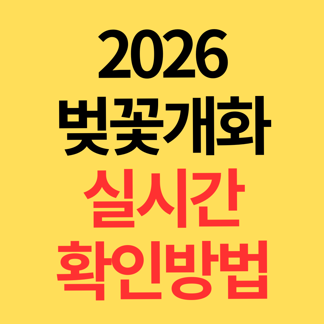 2026년 벚꽃 개화시기 실시간 확인하는 방법