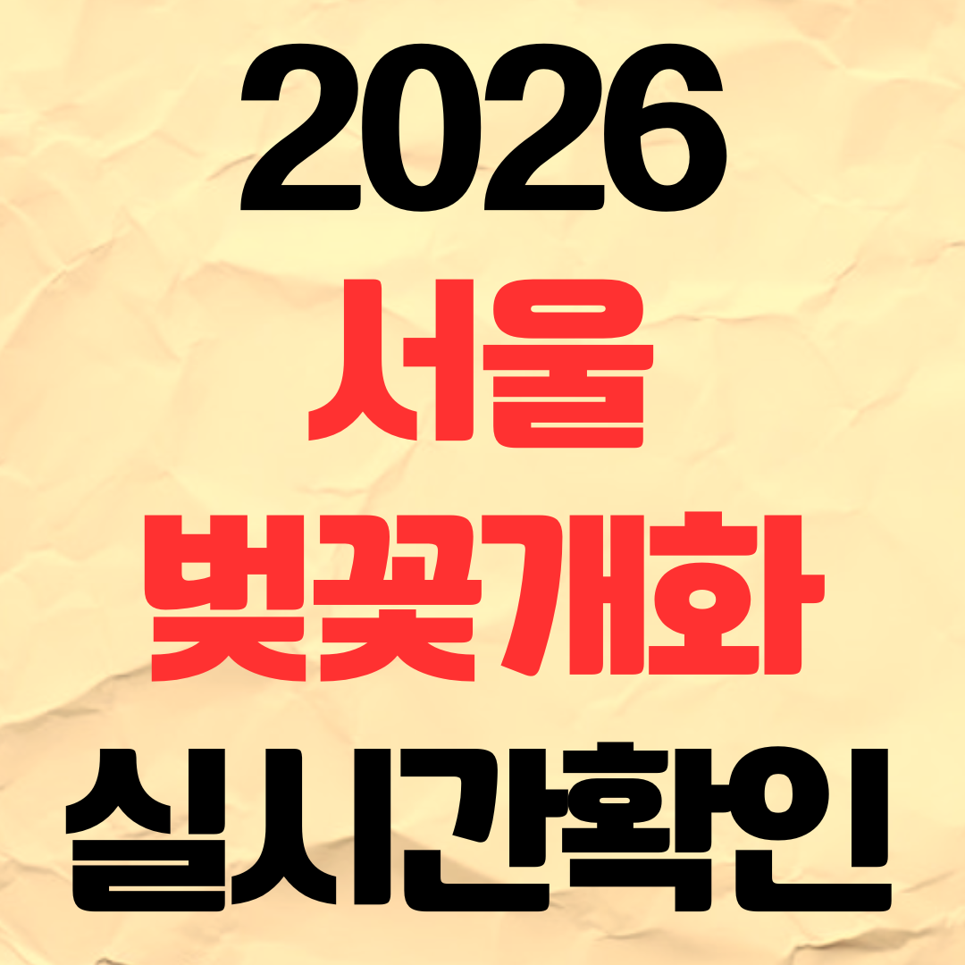 2026년 서울 벚꽃 개화시기 실시간 확인 명소 추천