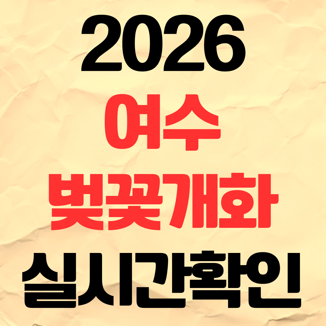 2026년 여수 벚꽃 개화시기 실시간 확인 명소 추천