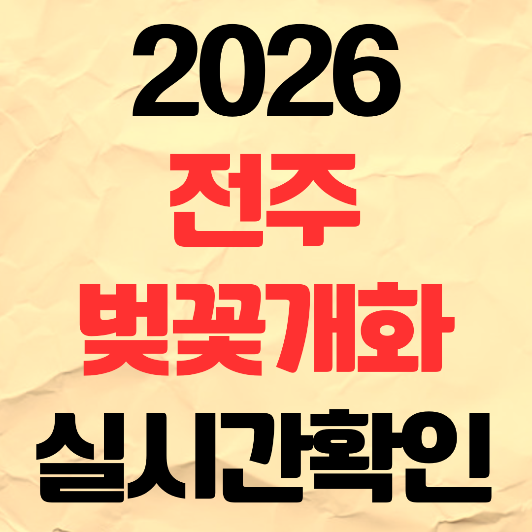 2026년 전주 벚꽃 개화시기 실시간 확인 명소 추천