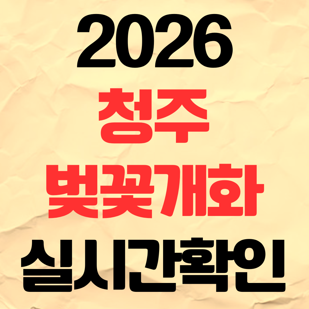2026년 청주 벚꽃 개화시기 실시간 확인 명소 추천