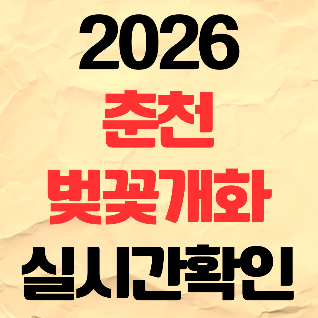 2026년 춘천 벚꽃 개화시기 실시간 확인 명소 추천