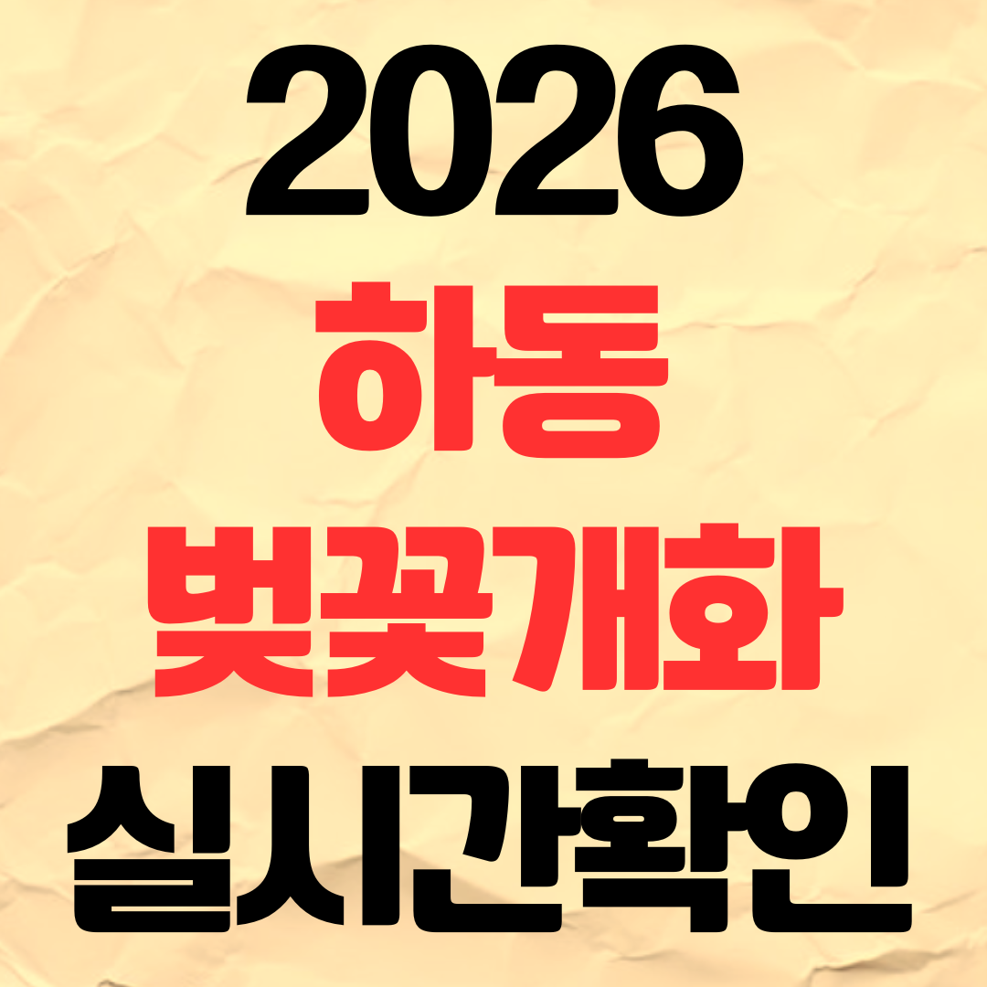 2026년 하동 벚꽃 개화시기 실시간 확인 명소 추천