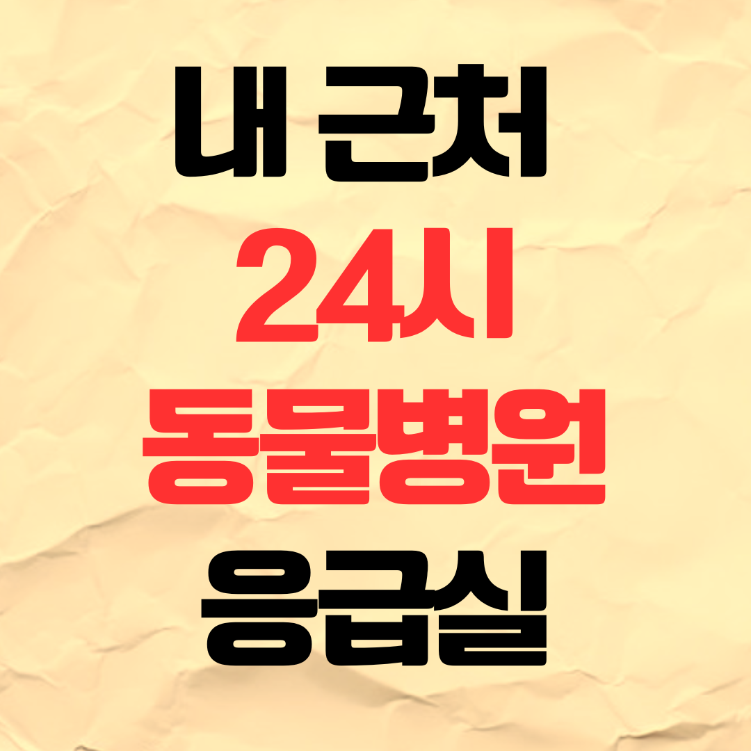근처 24시 동물병원 응급실 찾기