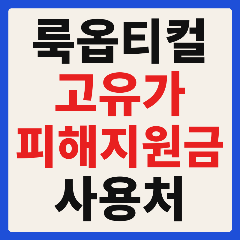 룩옵티컬 고유가 피해지원금 사용 가능 매장 확인 방법 사용처 가맹점 조회