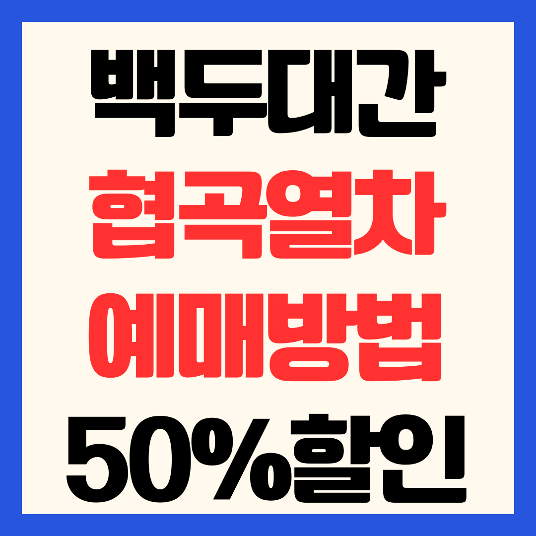 백두대간협곡열차 예매 방법 및 50% 할인 꿀팁 노선 시간표 완벽 가이드