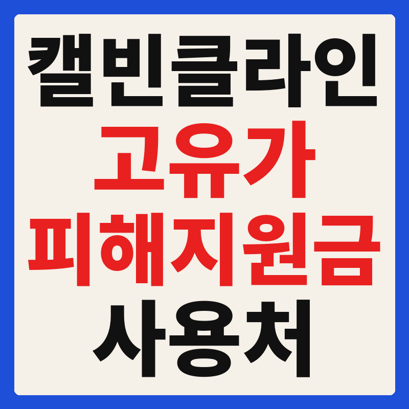 캘빈클라인 고유가 피해지원금 사용 가능 매장 확인 방법 사용처 가맹점 조회 찾기