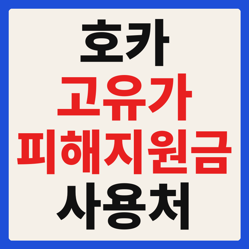 호카(HOKA) 고유가 피해지원금 사용 가능 매장 확인 방법 사용처 가맹점 조회