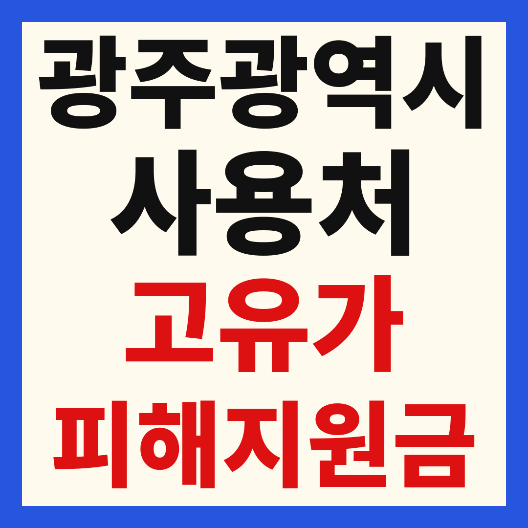 광주 고유가 피해 민생지원금 주유소 하나로마트 신발 옷가게 병원 약국 사용처