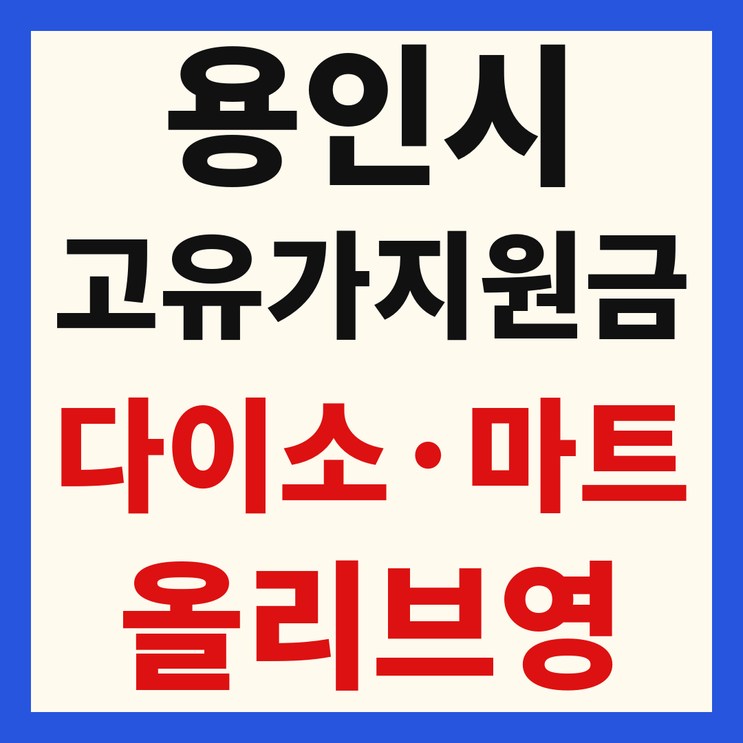 용인 고유가 피해 민생지원금 사용처 조회 방법 – 다이소·올리브영·대형마트 되나요?