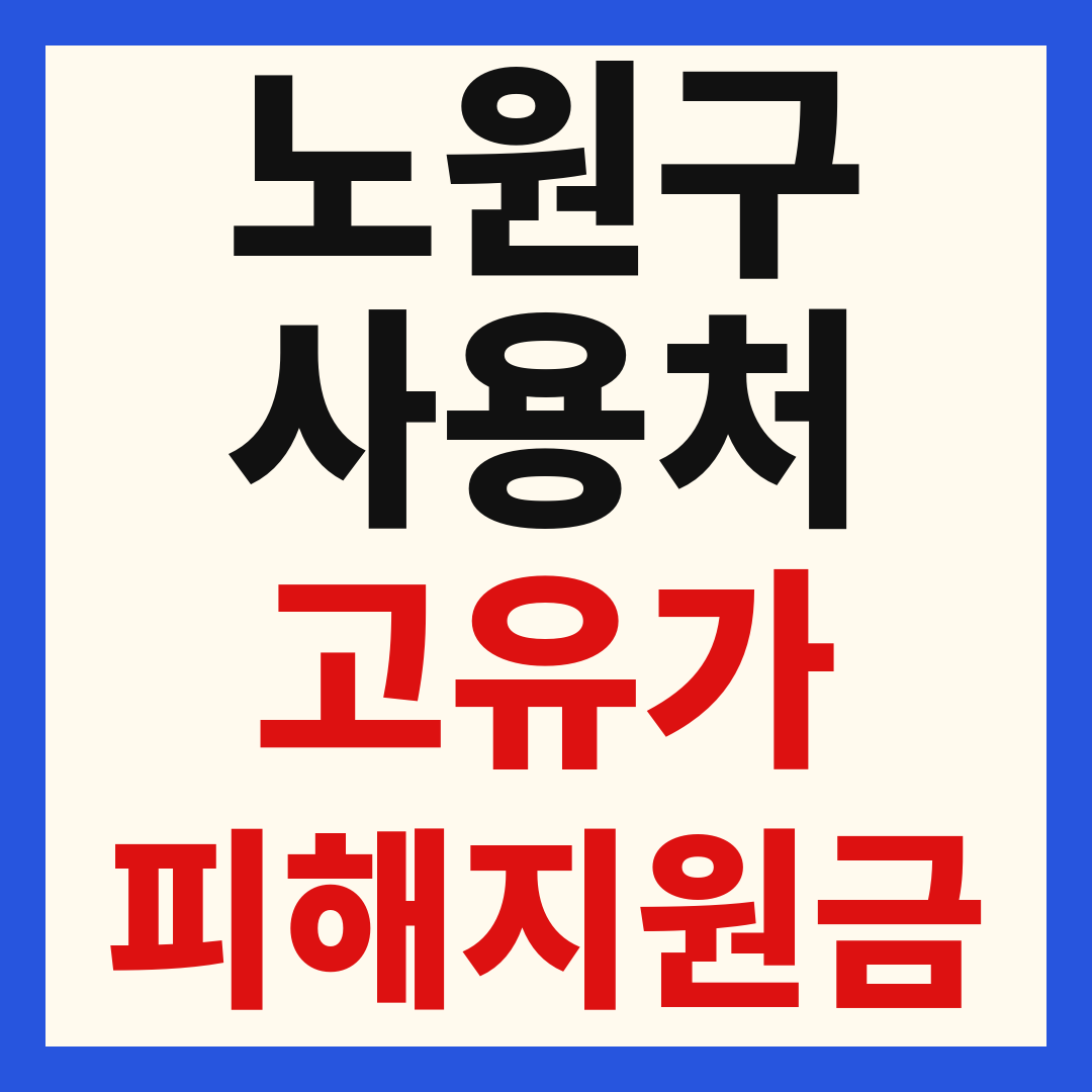노원구 고유가 피해 민생지원금 주유소 하나로마트 신발 옷가게 병원 약국 사용처