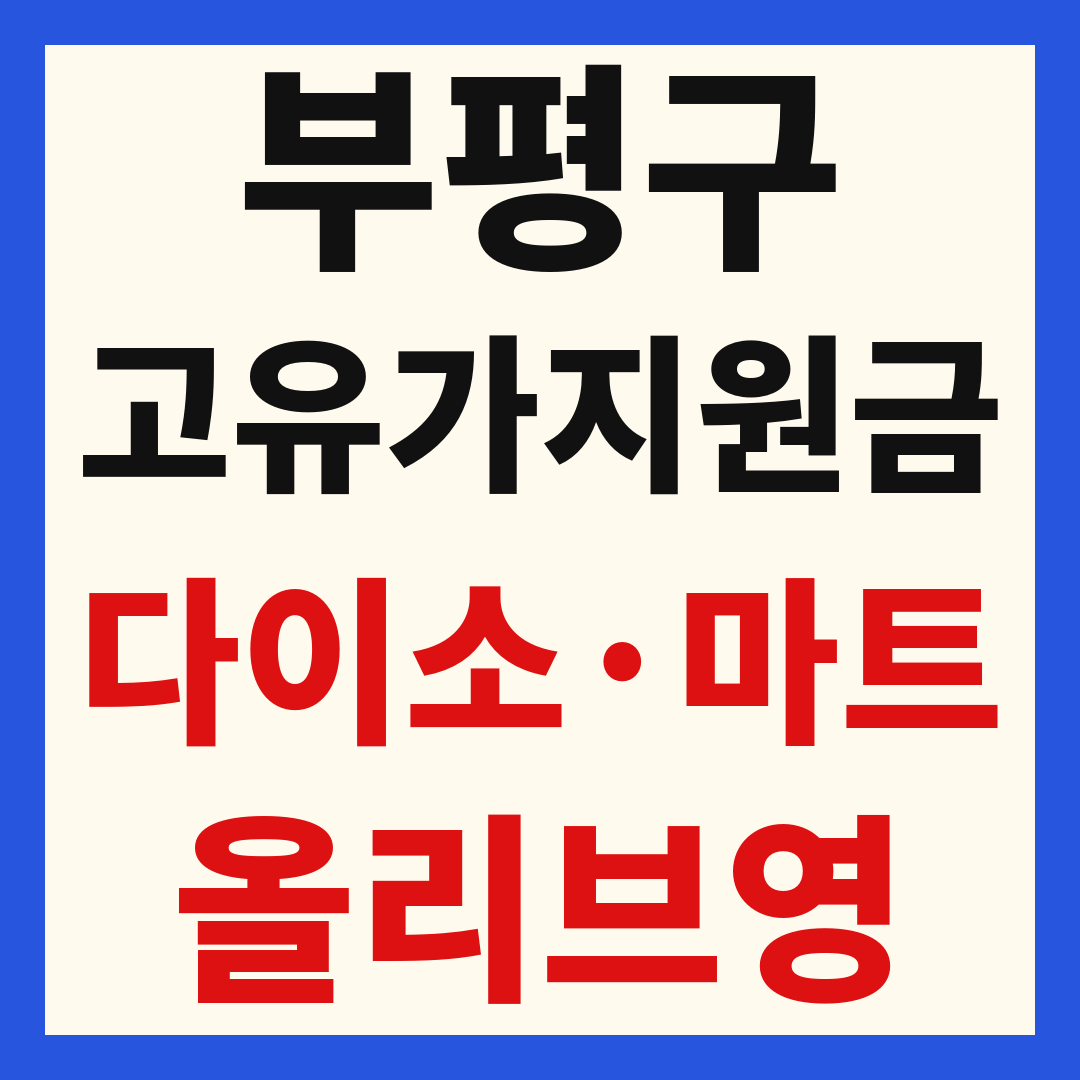 인천 부평구 고유가 피해 민생지원금 사용처 조회 방법 – 다이소·올리브영·대형마트 되나요?