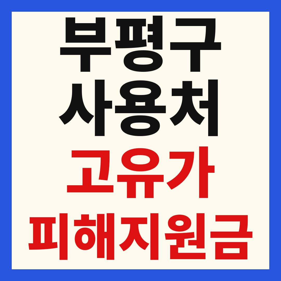 부평구 고유가 피해 민생지원금 주유소 하나로마트 신발 옷가게 병원 약국 사용처