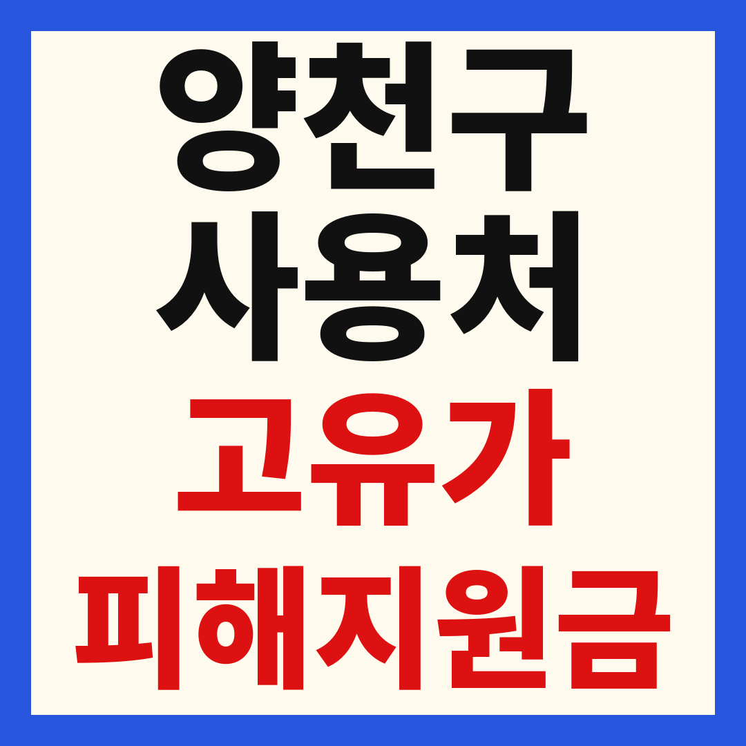 양천구 고유가 피해 민생지원금 주유소 하나로마트 신발 옷가게 병원 약국 사용처