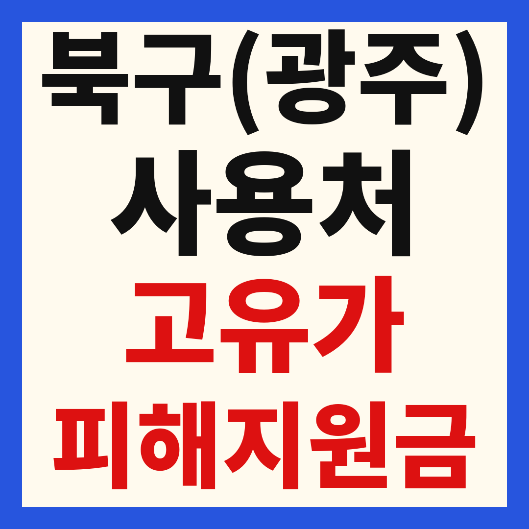 광주 북구 고유가 피해 민생지원금 주유소 하나로마트 신발 옷가게 병원 약국 사용처