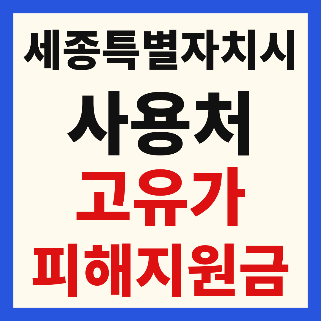 세종시 고유가 피해 민생지원금 주유소 하나로마트 신발 옷가게 병원 약국 사용처