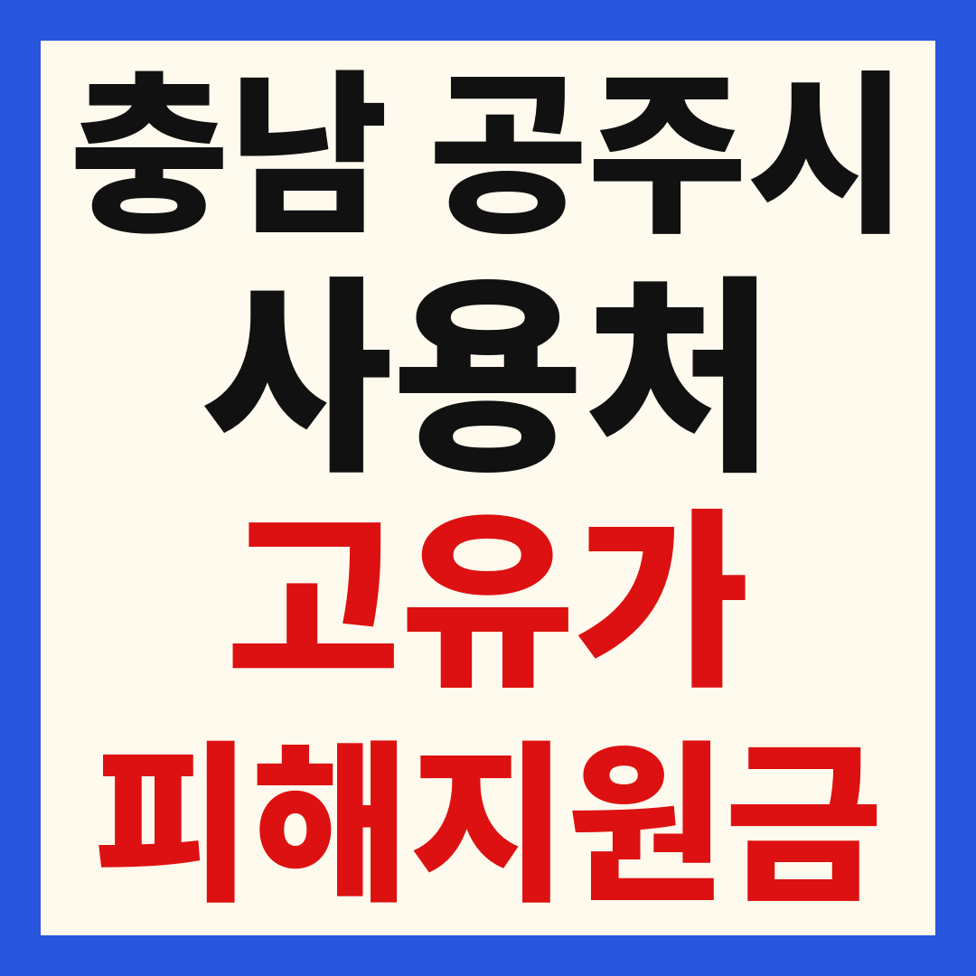 공주시 고유가 피해 민생지원금 주유소 하나로마트 신발 옷가게 병원 약국 사용처