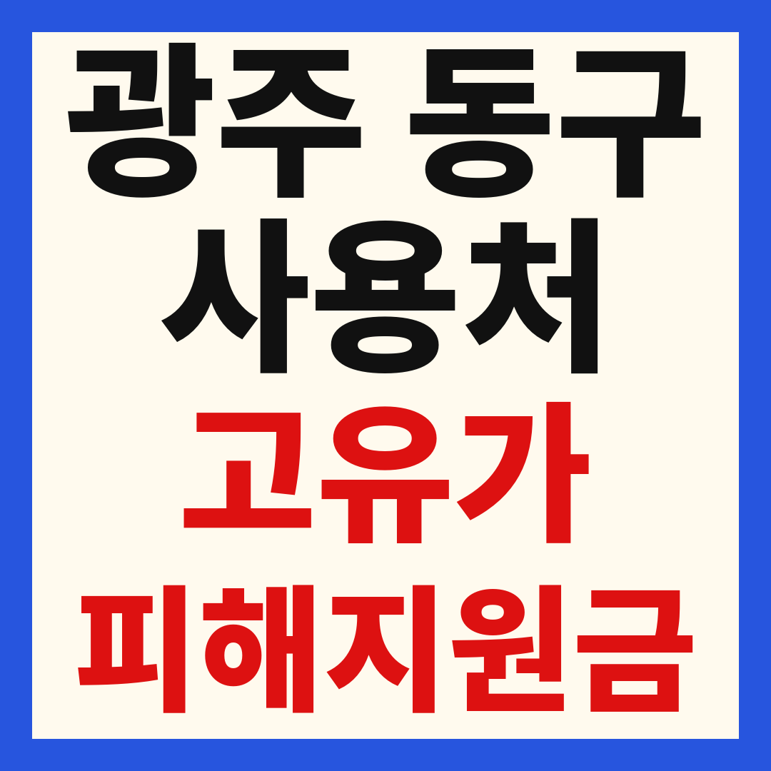 광주 동구 고유가 피해 민생지원금 주유소 하나로마트 신발 옷가게 병원 약국 사용처