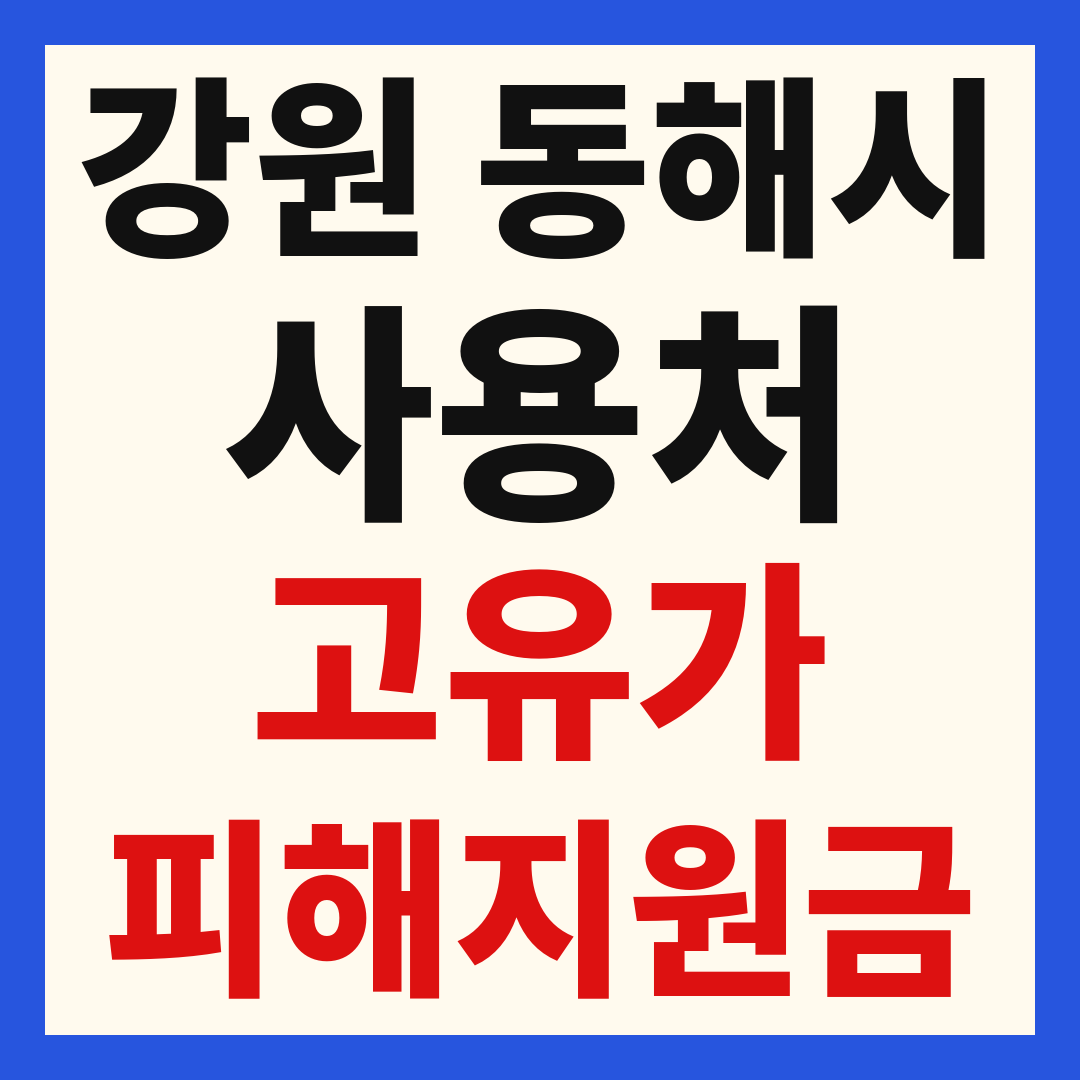 동해시 고유가 피해 민생지원금 주유소 하나로마트 신발 옷가게 병원 약국 사용처