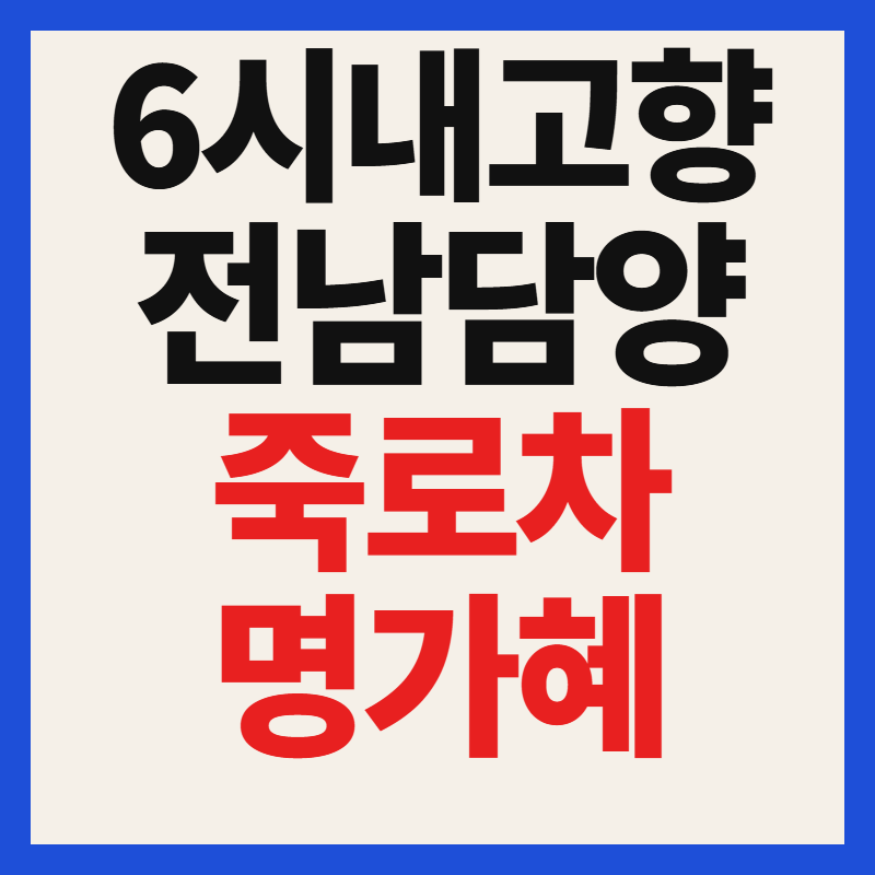 담양 죽로차 명가혜 다도체험 숙박 예약 방법 및 2026 힐링 가이드