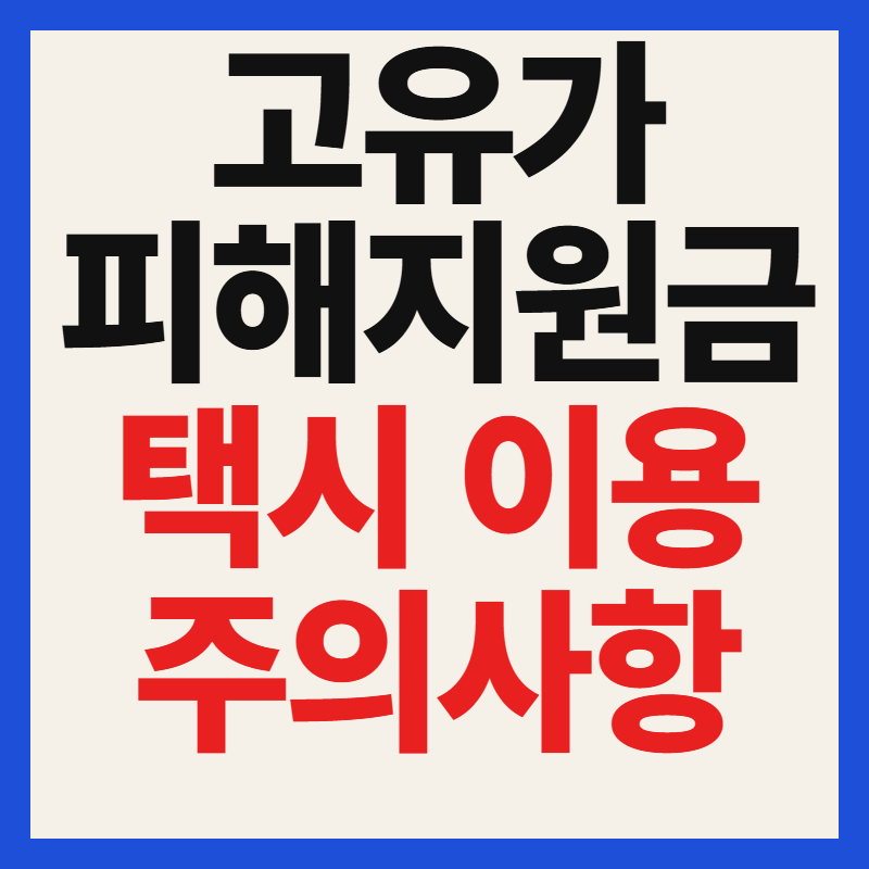 택시 고유가 피해지원금 사용 방법 및 주의사항